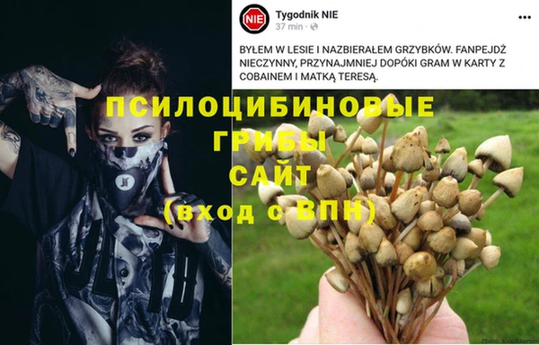 спайс Белокуриха