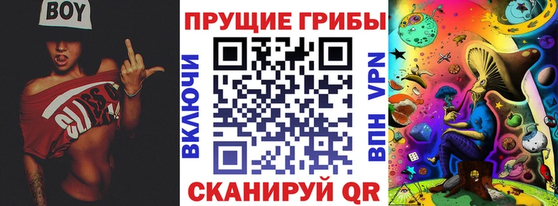 наркотики  Ядрин  площадка какой сайт  Псилоцибиновые грибы Psilocybine cubensis 
